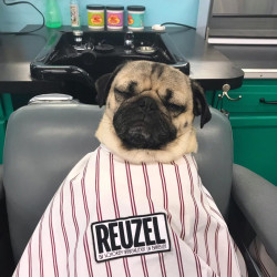 Накидка пеньюар для стрижки Reuzel Barber Super Cape