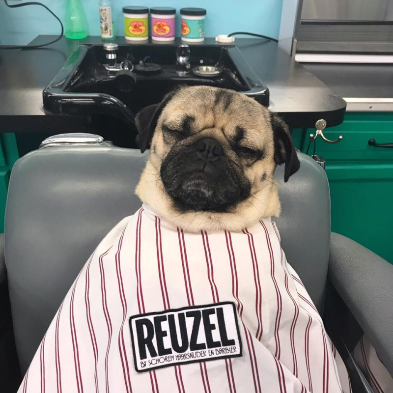 Накидка для стрижки Reuzel Barber Super Cape