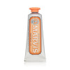 Зубная паста Marvis Ginger Mint Travel Size, 25 ml
