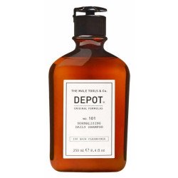 Шампунь для ежедневного применения, нормализующий Depot 101 Normalizing Daily Shampoo, 250 мл